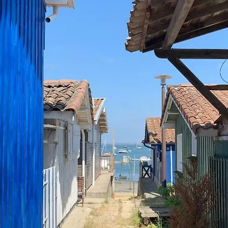 Διαμέρισμα Virginia *